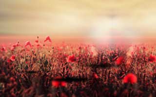 阜阳一中篮球队员名单，阜阳一中篮球队员名单公布