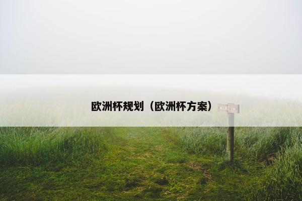 欧洲杯规划（欧洲杯方案）