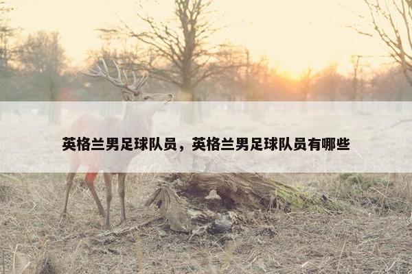 英格兰男足球队员，英格兰男足球队员有哪些