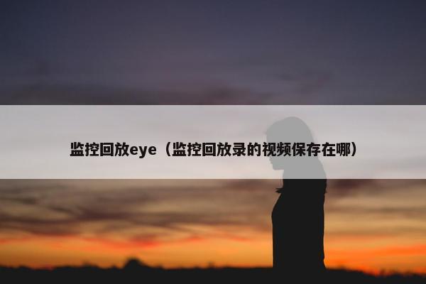 监控回放eye（监控回放录的视频保存在哪）