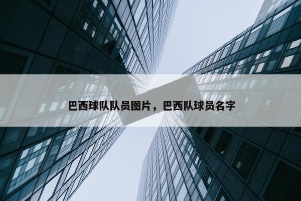 巴西球队队员图片，巴西队球员名字
