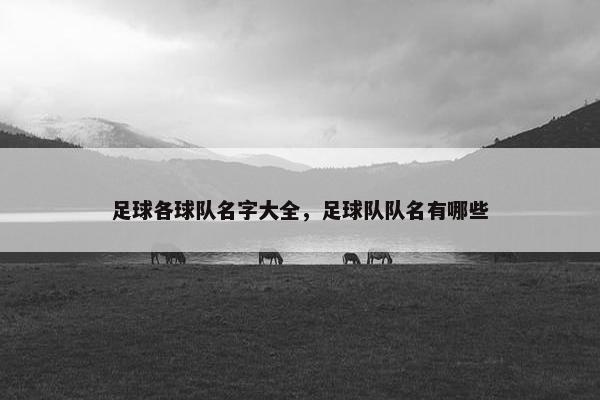足球各球队名字大全，足球队队名有哪些