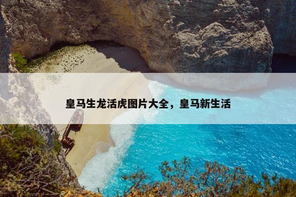 皇马生龙活虎图片大全，皇马新生活