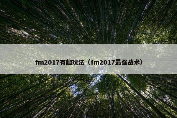 fm2017有趣玩法（fm2017最强战术）