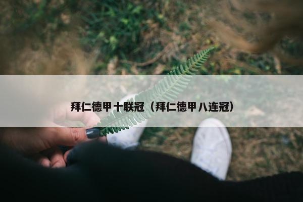 拜仁德甲十联冠（拜仁德甲八连冠）