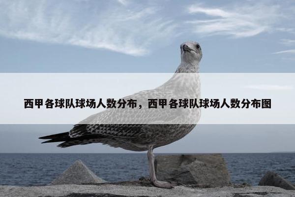 西甲各球队球场人数分布，西甲各球队球场人数分布图