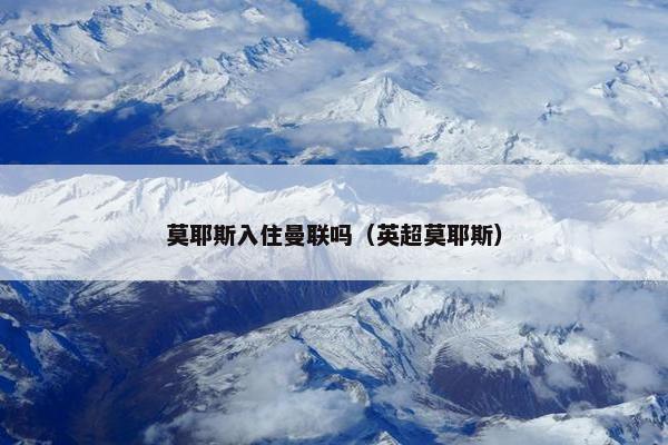 莫耶斯入住曼联吗（英超莫耶斯）