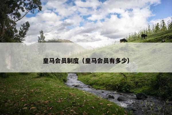 皇马会员制度（皇马会员有多少）
