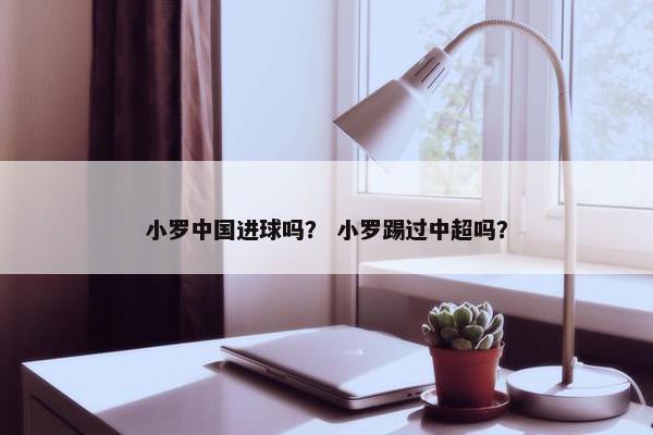 小罗中国进球吗？ 小罗踢过中超吗？