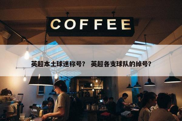英超本土球迷称号？ 英超各支球队的绰号？