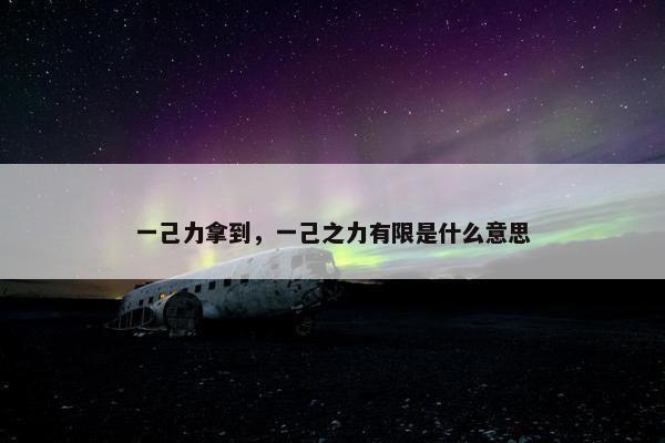 一己力拿到，一己之力有限是什么意思