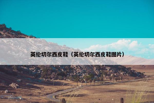 英伦切尔西皮鞋（英伦切尔西皮鞋图片）