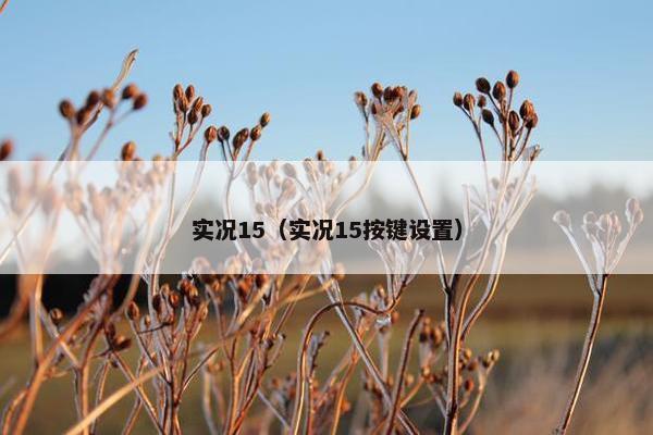 实况15（实况15按键设置）