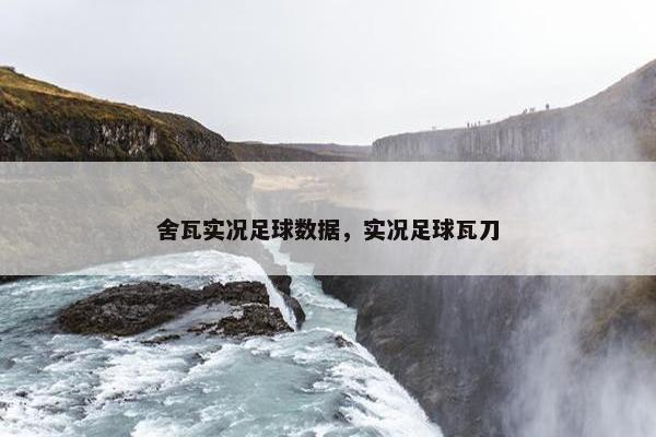 舍瓦实况足球数据，实况足球瓦刀