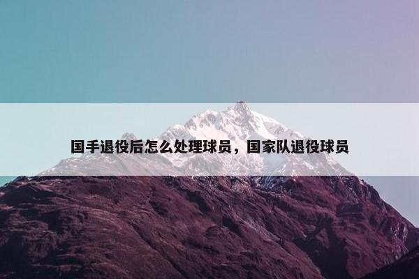 国手退役后怎么处理球员，国家队退役球员