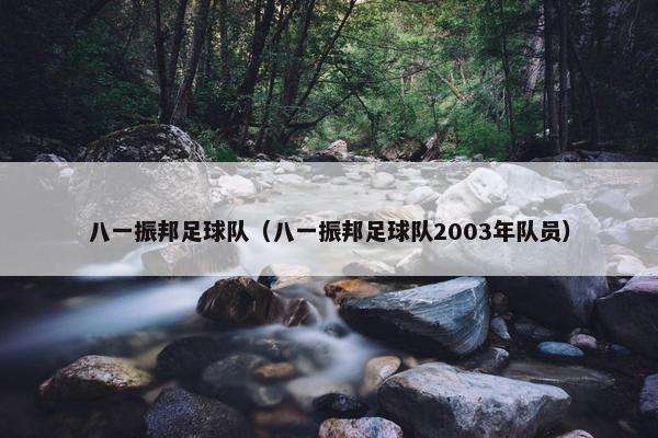 八一振邦足球队（八一振邦足球队2003年队员）