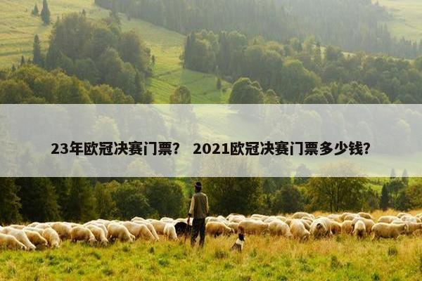 23年欧冠决赛门票？ 2021欧冠决赛门票多少钱？