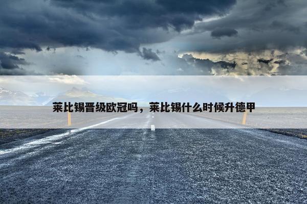 莱比锡晋级欧冠吗，莱比锡什么时候升德甲