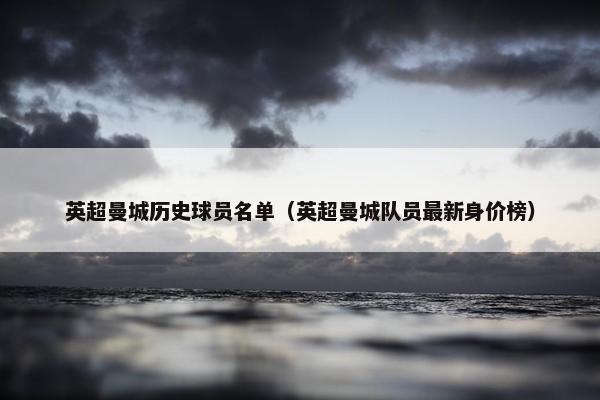 英超曼城历史球员名单（英超曼城队员最新身价榜）