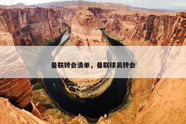 曼联转会清单，曼联球员转会