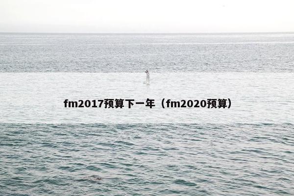 fm2017预算下一年（fm2020预算）