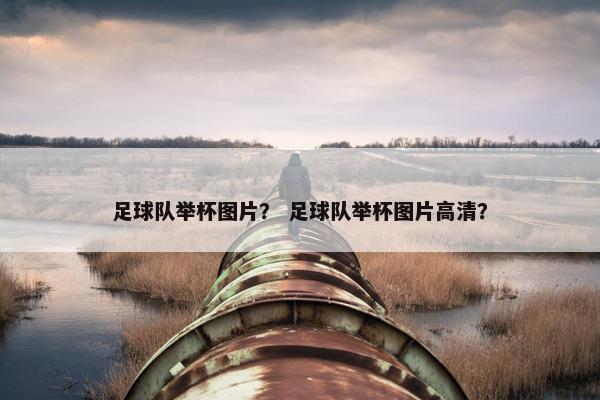 足球队举杯图片？ 足球队举杯图片高清？