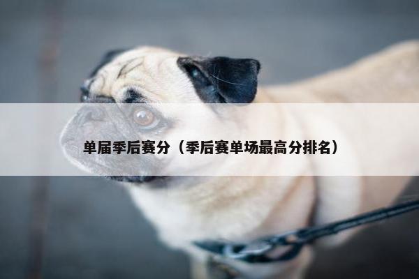 单届季后赛分（季后赛单场最高分排名）