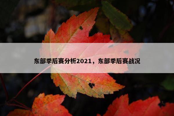 东部季后赛分析2021，东部季后赛战况