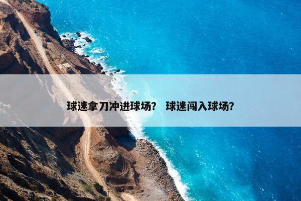 球迷拿刀冲进球场？ 球迷闯入球场？