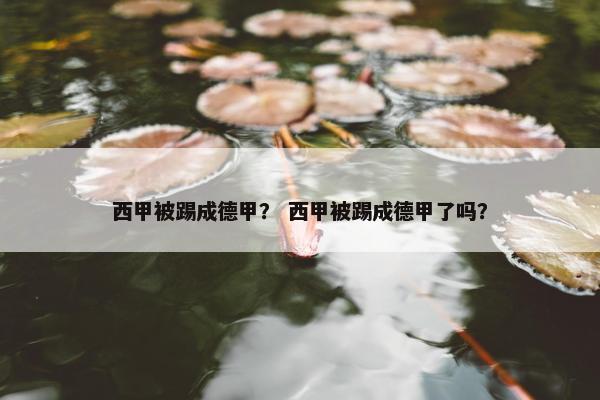 西甲被踢成德甲？ 西甲被踢成德甲了吗？