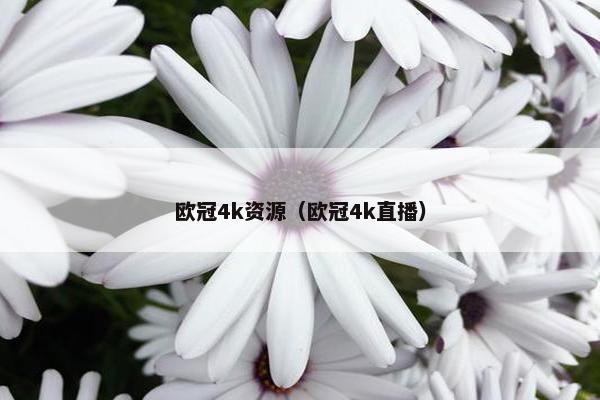欧冠4k资源（欧冠4k直播）