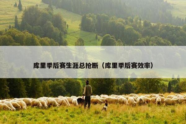 库里季后赛生涯总抢断（库里季后赛效率）