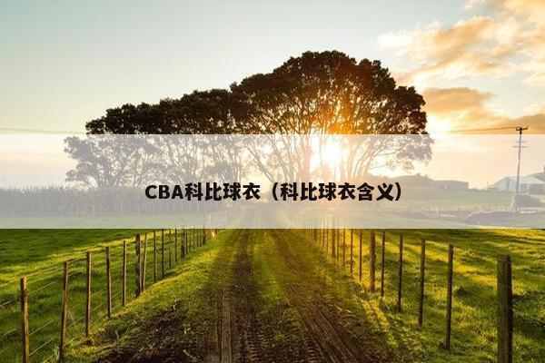 CBA科比球衣（科比球衣含义）