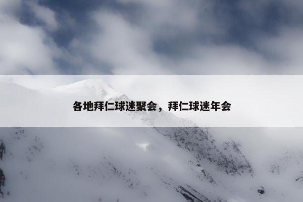 各地拜仁球迷聚会，拜仁球迷年会