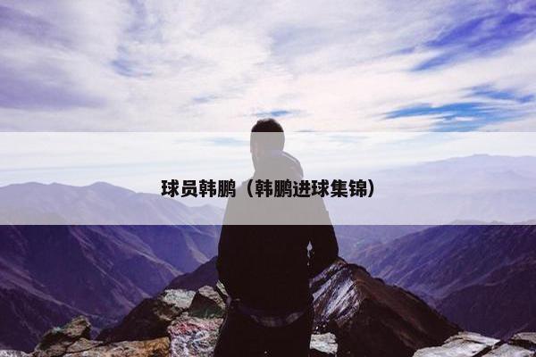 球员韩鹏（韩鹏进球集锦）