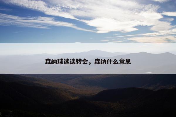 森纳球迷谈转会，森纳什么意思