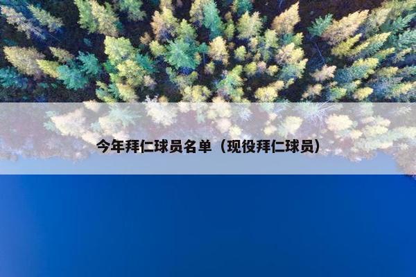 今年拜仁球员名单（现役拜仁球员）