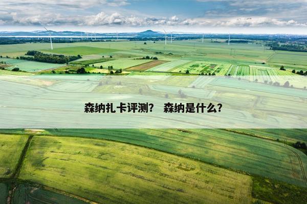 森纳扎卡评测？ 森纳是什么？