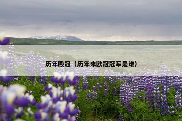 历年殴冠（历年来欧冠冠军是谁）