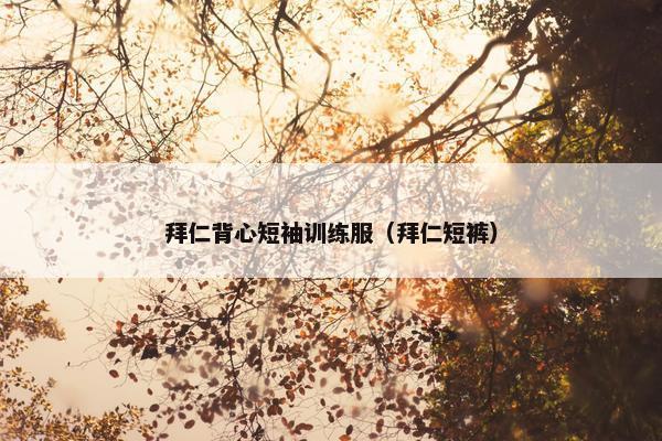 拜仁背心短袖训练服（拜仁短裤）