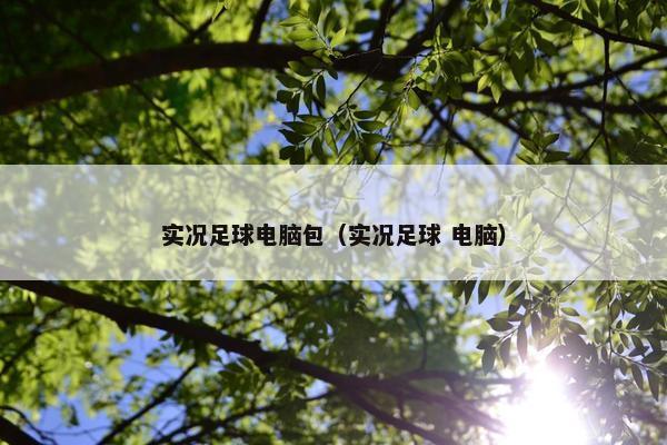 实况足球电脑包（实况足球 电脑）