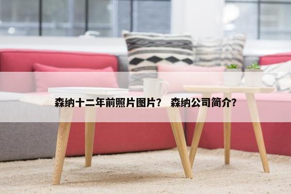 森纳十二年前照片图片？ 森纳公司简介？