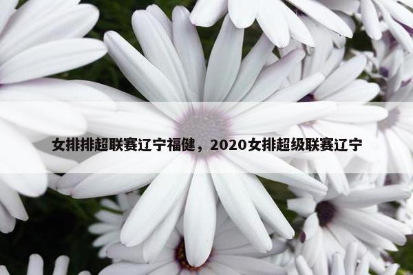 女排排超联赛辽宁福健，2020女排超级联赛辽宁
