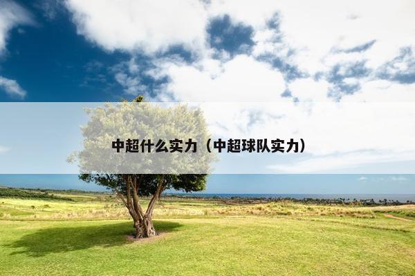中超什么实力（中超球队实力）