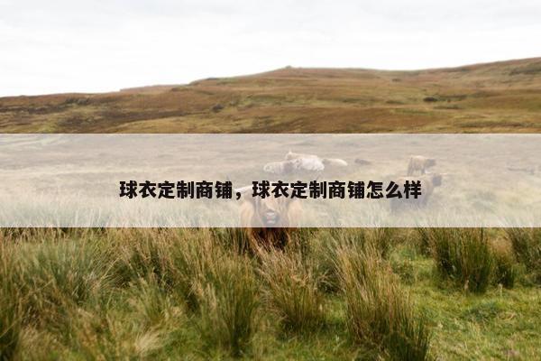球衣定制商铺，球衣定制商铺怎么样