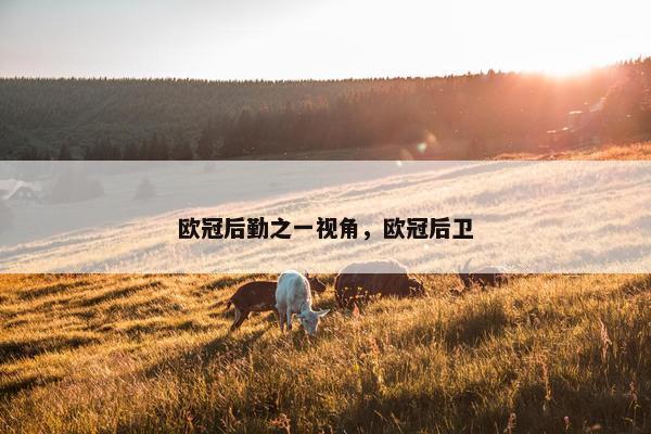欧冠后勤之一视角，欧冠后卫
