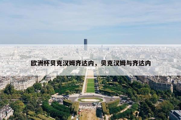 欧洲杯贝克汉姆齐达内，贝克汉姆与齐达内