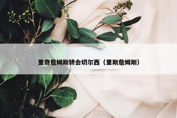 里奇詹姆斯转会切尔西（里斯詹姆斯）