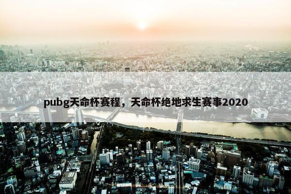 pubg天命杯赛程，天命杯绝地求生赛事2020