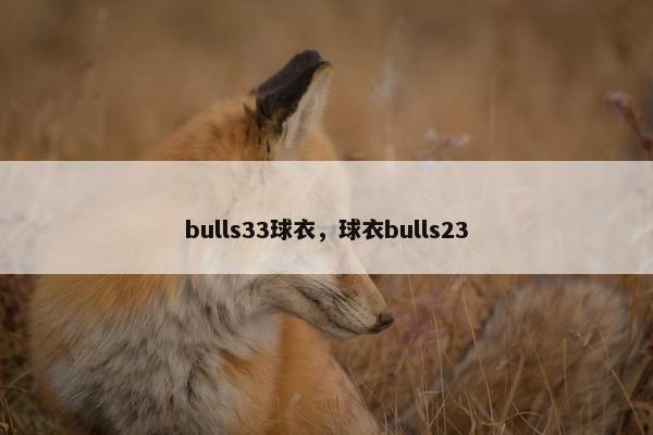 bulls33球衣，球衣bulls23